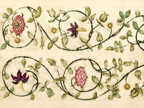 Decorated Borders: Renaissance Vines