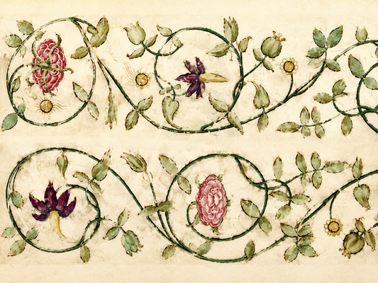 Decorated Borders: Renaissance Vines