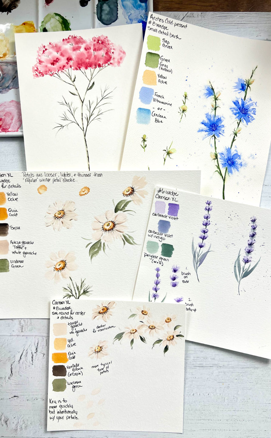 LEARN TO PAINT WEDGE WILDFLOWERS