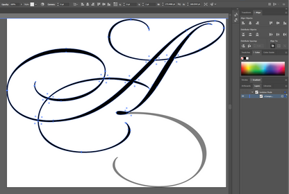 DIGITIZING CALLIGRAPHY
