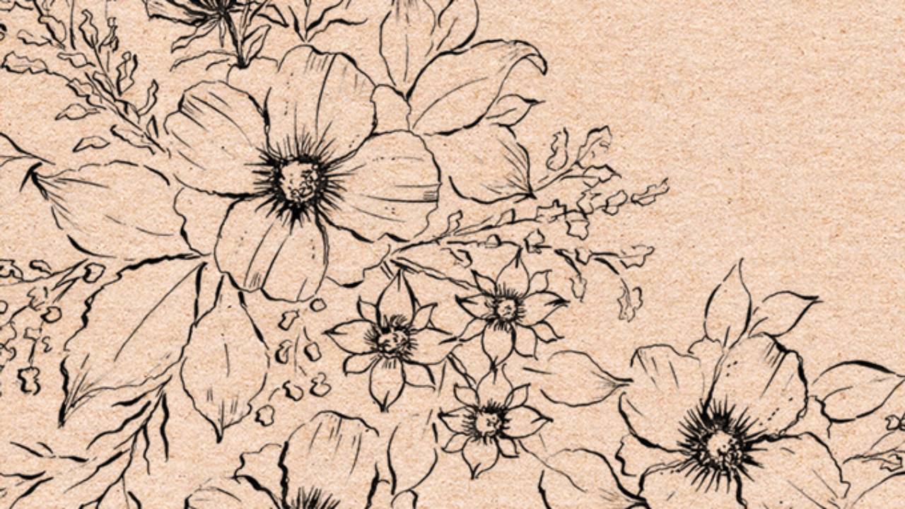 LINE ART FLORALS