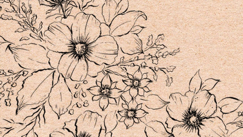 LINE ART FLORALS
