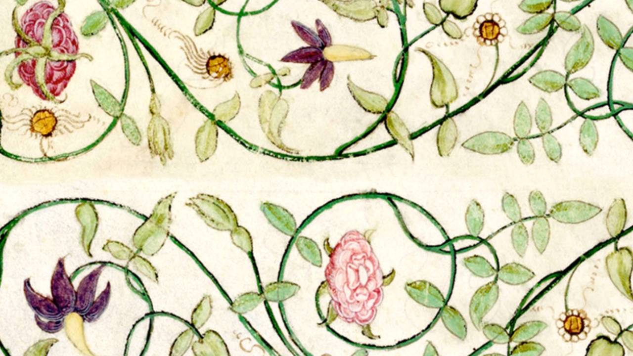 Decorated Borders: Renaissance Vines
