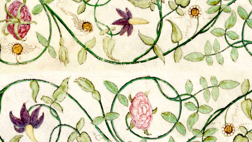 Decorated Borders: Renaissance Vines