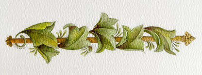 DRAWING & PAINTING ACANTHUS DESIGNS